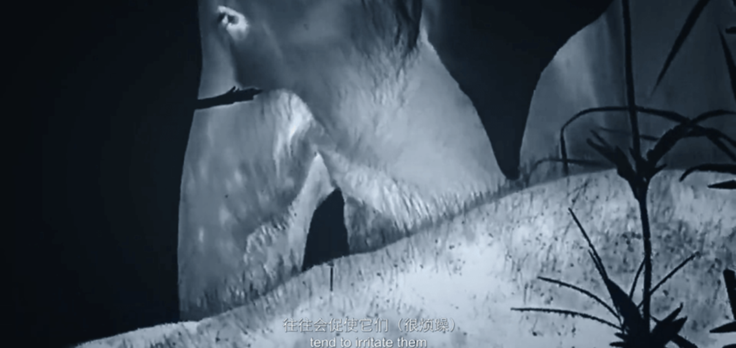 image 13515317.png