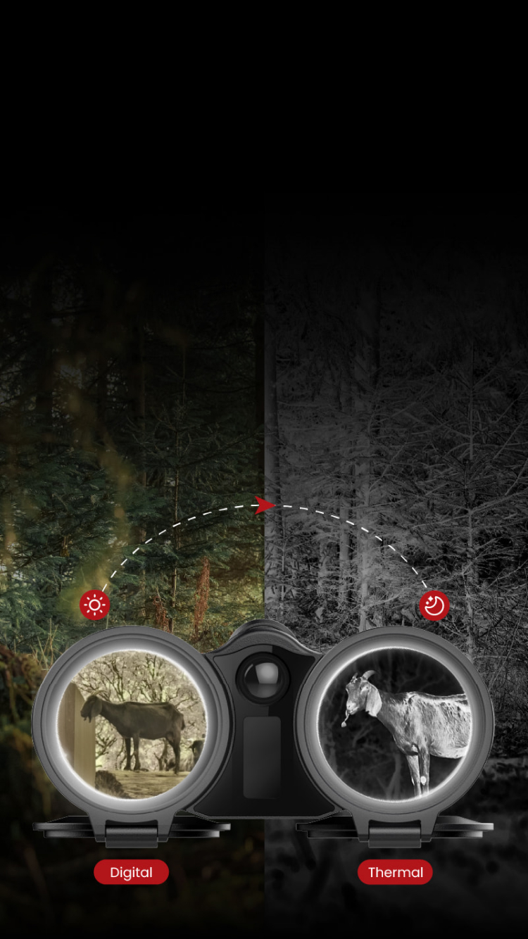 Thermal & Digital <br>Allwetter