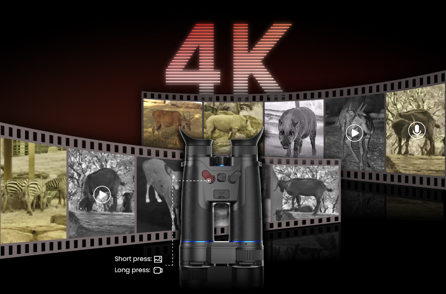 Aufnahmen in 4K<br>Jedes Detail festhalten