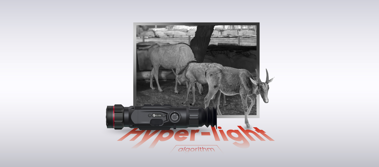 Hyper-Light-Algorithmus<br>Lebendige Bildgebung