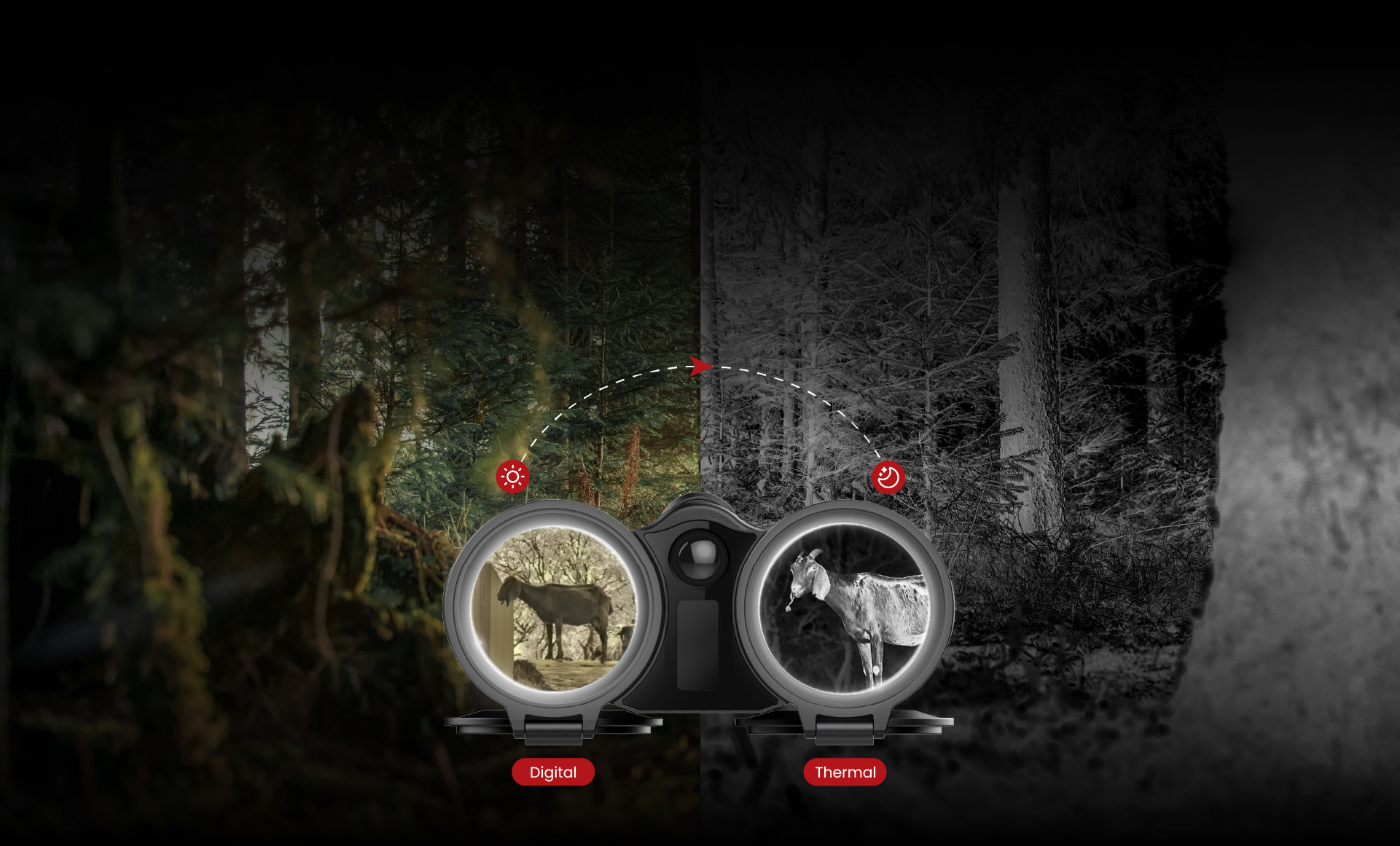 Thermal & Digital <br>Allwetter