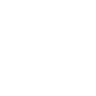 Zoomring