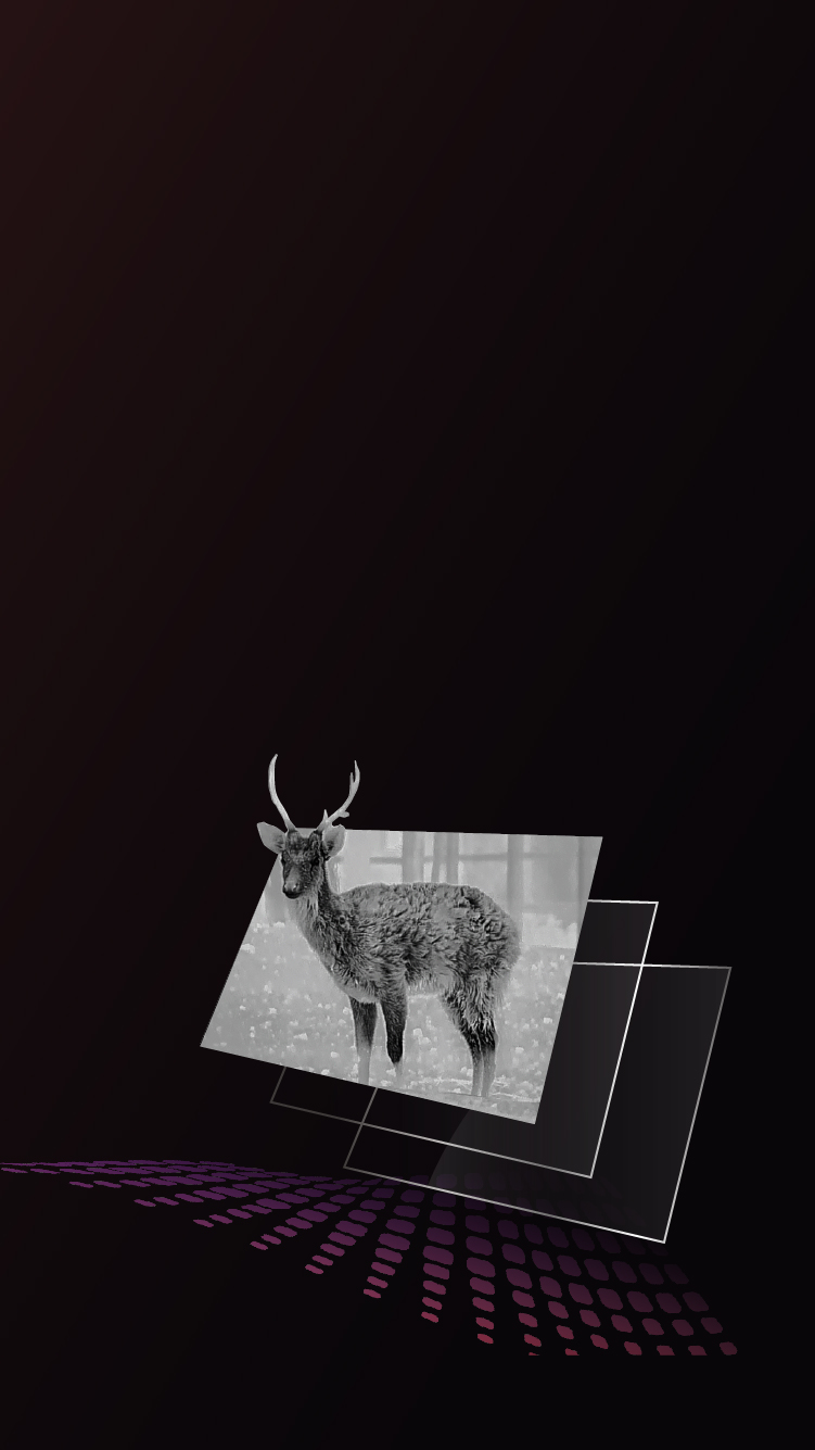 1920 × 1080 AMOLED-Display