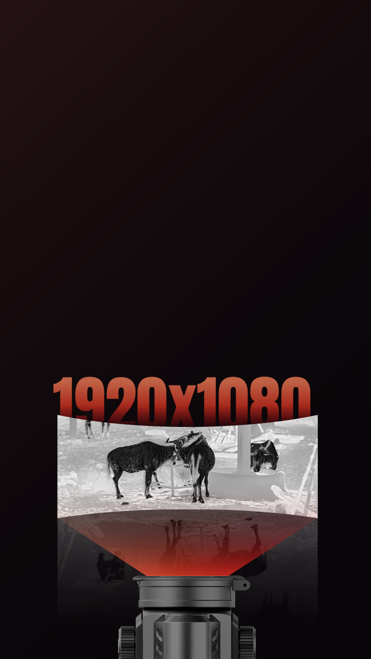 Full-HD-AMOLED-Display mit einer Auflösung von 1920 × 1080