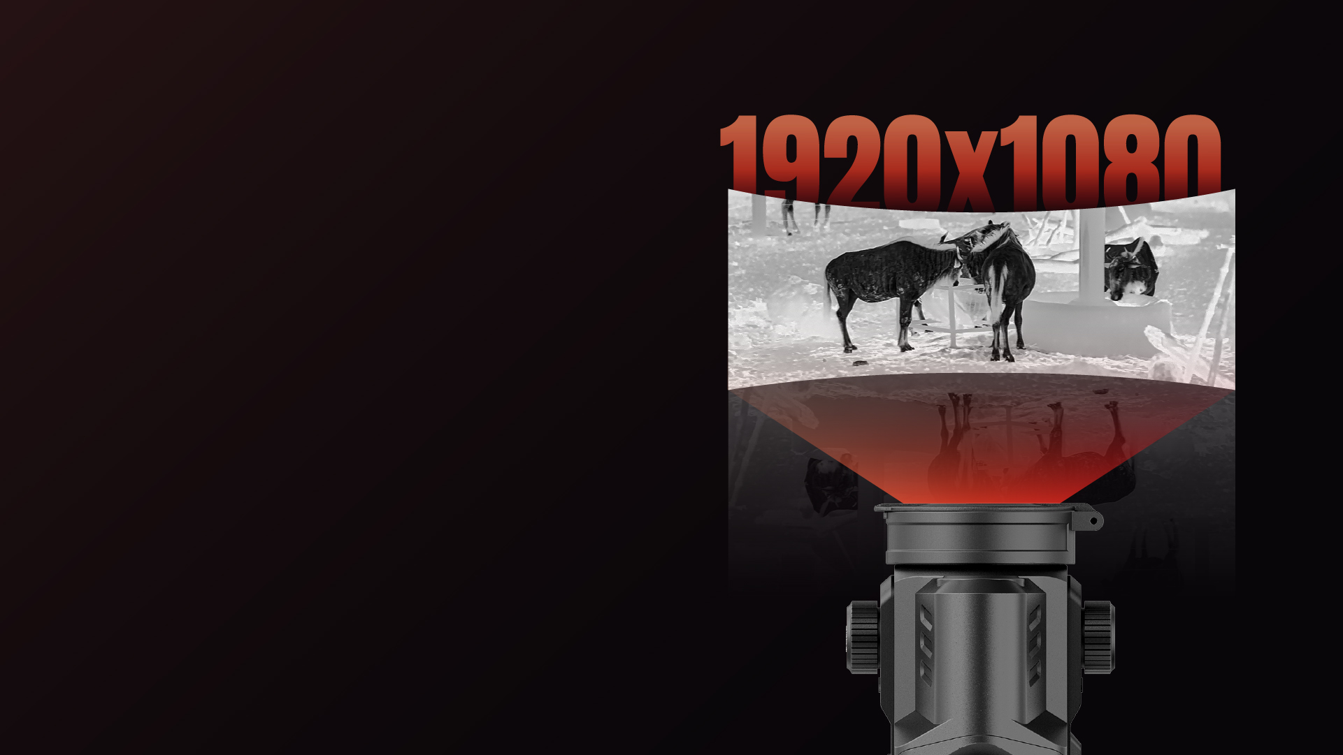 Full-HD-AMOLED-Display mit einer Auflösung von 1920 × 1080
